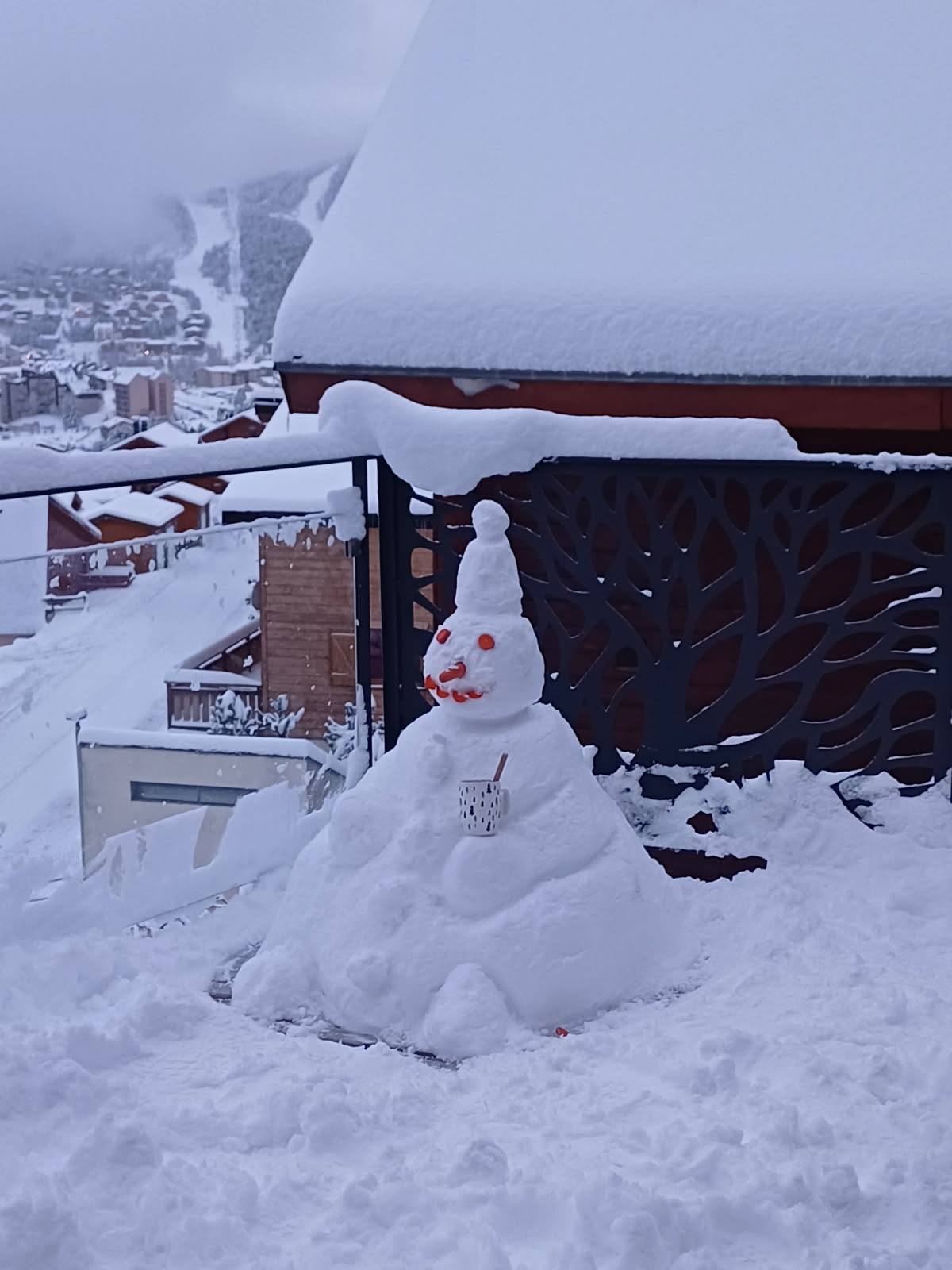 Le Domaine - Client 1